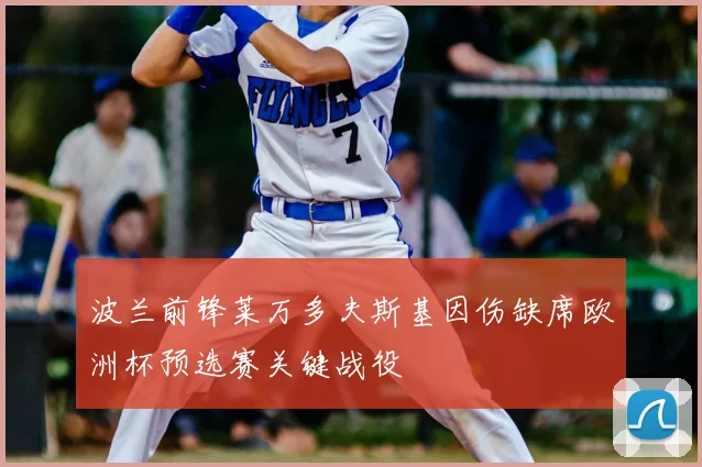 波兰前锋莱万多夫斯基因伤缺席欧洲杯预选赛关键战役